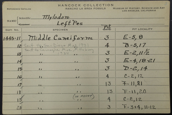 NCC 1445 (3)
